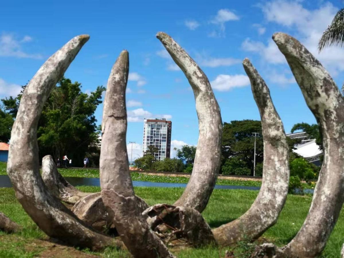 Torres Del Lago Suites And Apartments サンホセ エクステリア 写真